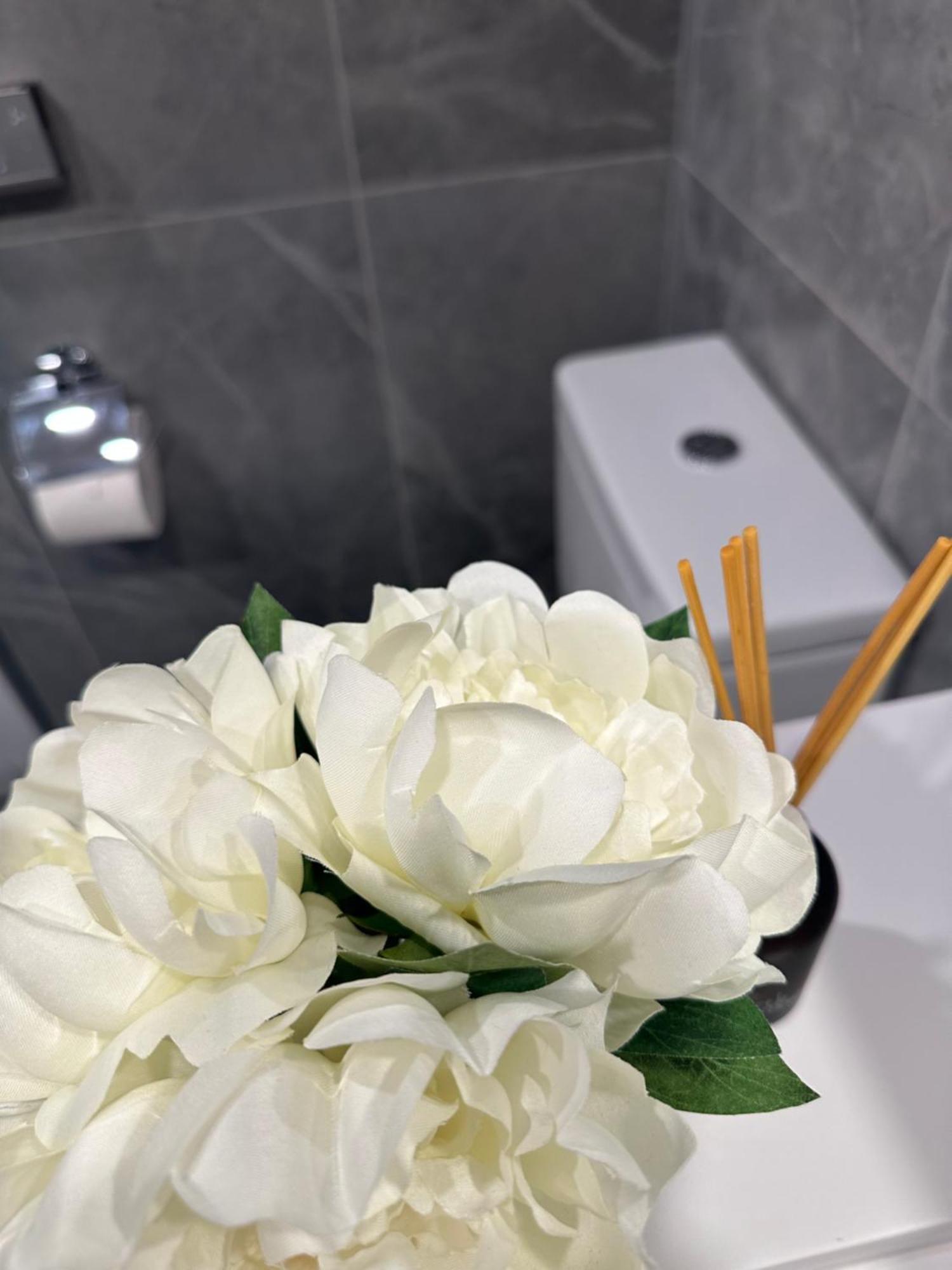 Private 1 Bed Accom With Bathroom In A 3 Bed Apartment - Melb Cbd, Regency Towers - Free Parking, Wifi And Pool Μελβούρνη Εξωτερικό φωτογραφία